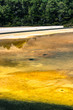 Colorful thermal lake in New Zealand