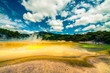 Colourful thermal landscape in New Zealand
