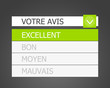 sondage en ligne - avis excellent