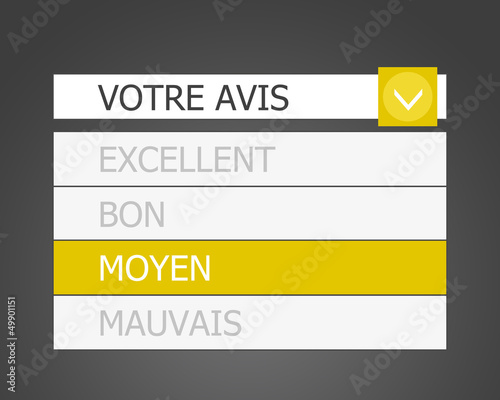 Illustration: sondage en ligne - avis moyen sondage en ligne - avis moyen