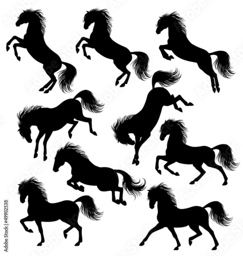 Vector: Horses silhouettes Horses silhouettes