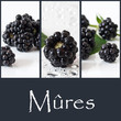 Photo: composition mûres composition mûres