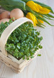 Photo: Easter spring table, watercress salad, tulip flowers, eggs Easter spring table, watercress salad, tulip flowers, eggs