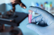 A doctor's hand holding a tube