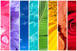 Photo: Arc en ciel photos nature, fond blanc Arc en ciel photos nature, fond blanc