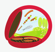 Illustration of backyard barbecue scene