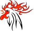 coq