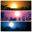 Tropical banners set landscape, sun, moon and palm trees.