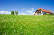 Family House in a Summer Landscape