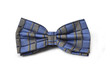 Photo: Close-up of blue bow-tie Close-up of blue bow-tie
