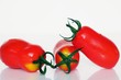 Foto: Tomates romaines Tomates romaines