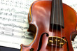 violino