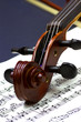 violino