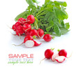 Fresh radish isolated on white background