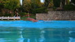 Video: Young man swimming in pool. Young man swimming in pool.