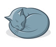 Sleepy cat