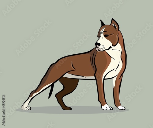 Vector: Pit Bull Terrier Pit Bull Terrier