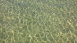 Abstract waves from light on lake bottom.