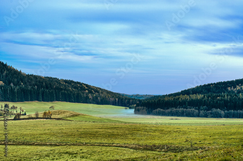 Photo: Dusk near the forest Dusk near the forest