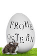 Frohe Ostern Ei auf grüner Wiese mit Osterhasen