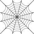 Vector illustration of cobweb