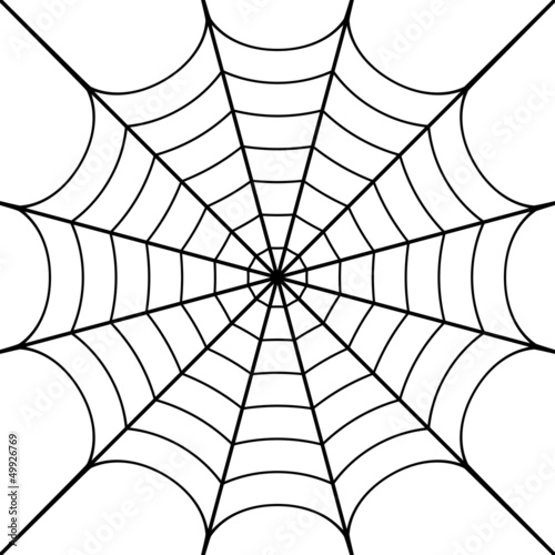 Vector: Vector illustration of cobweb Vector illustration of cobweb