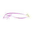 Peacock Vector