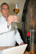 Wine testing