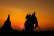 Photo: silhouette of elephants in Ayutthaya thailand. silhouette of elephants in Ayutthaya thailand.