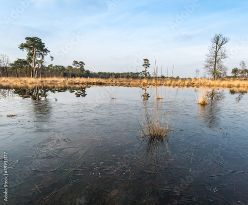 Photo: Marsh area in winter Marsh area in winter