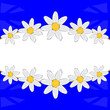 Decorative frame from flower