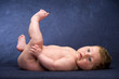 Foto: baby in front of blue background baby in front of blue background