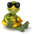Fun turtle