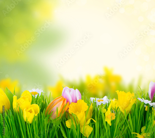 Photo: nature nature
