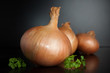 Organic onion