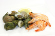 bulots et crevettes
