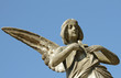 faith