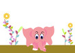 cute elephant baby