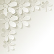 Blumen Karte weiss