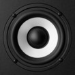 Black & white speaker