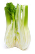Fenchel