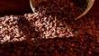 Time lapse window light passing over cocoa beans