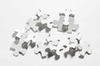 Jigsaw Puzzle Pieces
