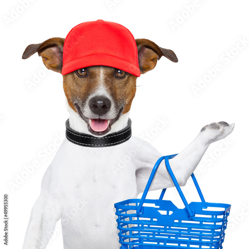 Photo: shopping dog shopping dog