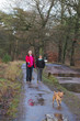 Photo: Man and boy walking with dog Man and boy walking with dog