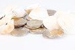 Euro and a shell