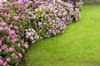 gardening