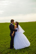 Russia newlyweds couple, bride and groom are embracing in a fiel