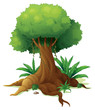 A big tree