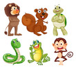 Six different kinds of animals in the jungle